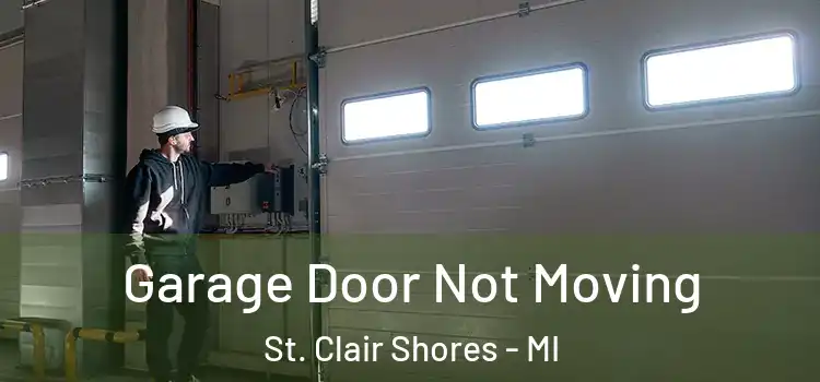  Garage Door Not Moving St. Clair Shores - MI