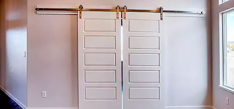 Glass Barn Door with Installation Hardware Kit St. Clair Shores