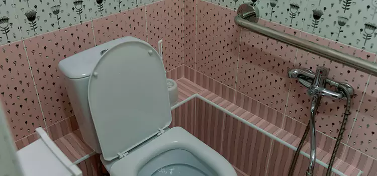 Meeting Diverse Needs With Accessible Restroom Solutions in St. Clair Shores, MI